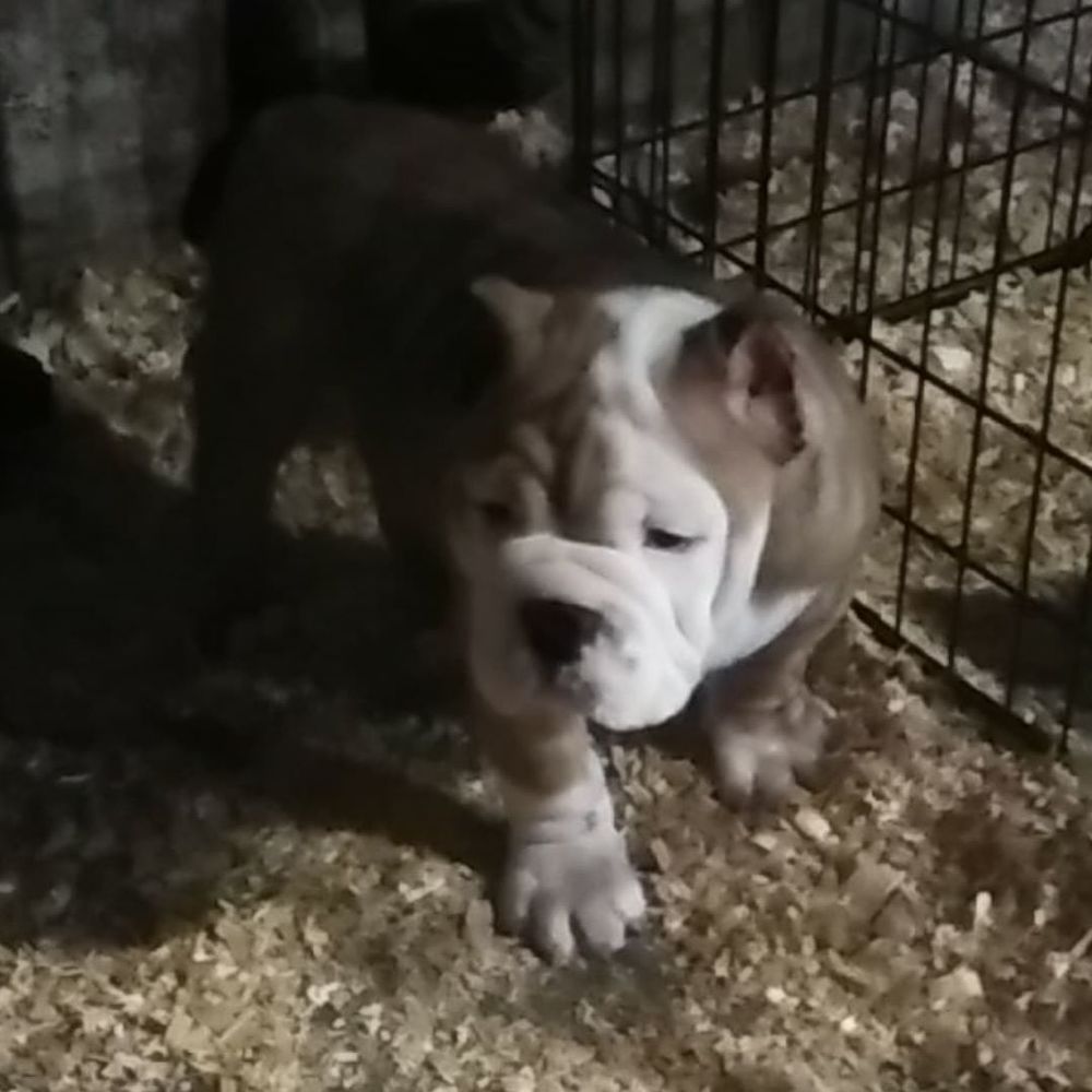 Meet your Posher, Mariano